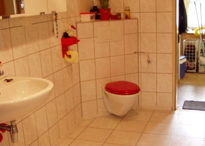 Trockenbau und Verfliesung eines WC-Vorwandelementes